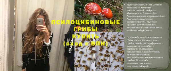 спайс Богородицк