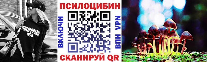 закладки  Демидов  Псилоцибиновые грибы GOLDEN TEACHER 