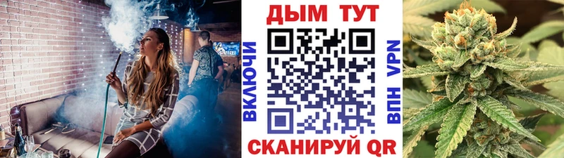 Конопля сатива  KRAKEN ТОР  Демидов 